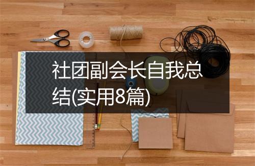 社团副会长自我总结(实用8篇)