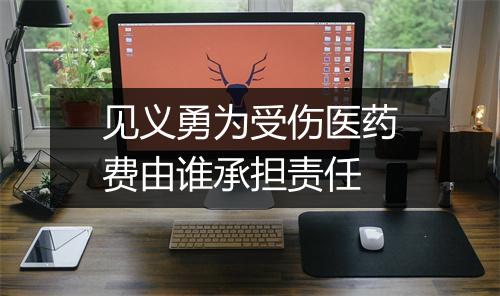 见义勇为受伤医药费由谁承担责任