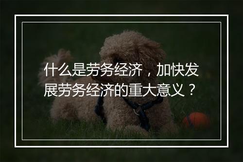 什么是劳务经济，加快发展劳务经济的重大意义？