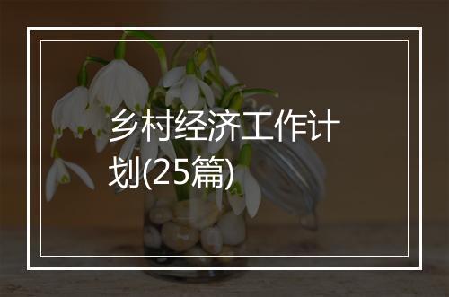 乡村经济工作计划(25篇)
