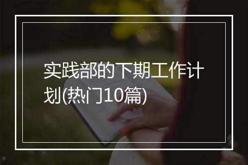 实践部的下期工作计划(热门10篇)