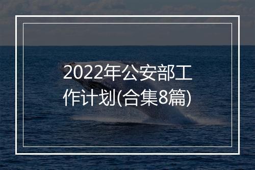 2022年公安部工作计划(合集8篇)