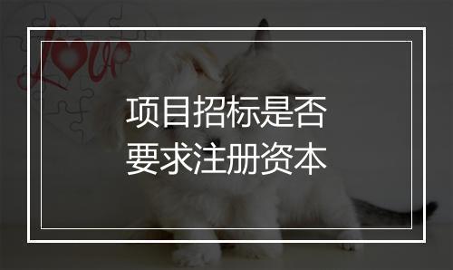 项目招标是否要求注册资本