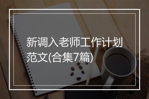 新调入老师工作计划范文(合集7篇)
