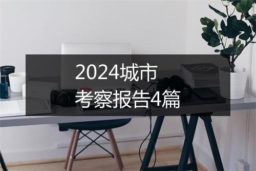 2024城市考察报告4篇