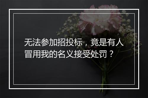 无法参加招投标，竟是有人冒用我的名义接受处罚？