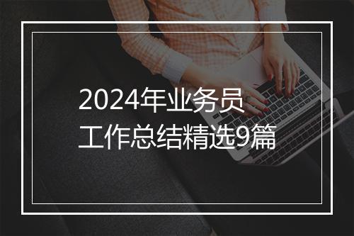 2024年业务员工作总结精选9篇