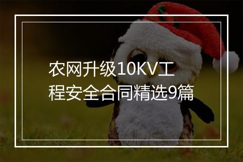 农网升级10KV工程安全合同精选9篇