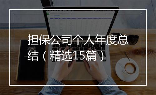 担保公司个人年度总结（精选15篇）