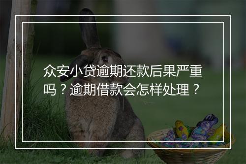 众安小贷逾期还款后果严重吗？逾期借款会怎样处理？