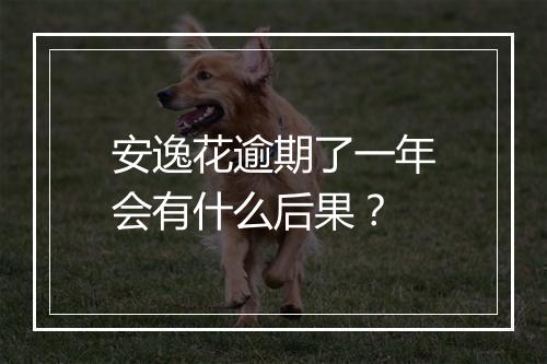 安逸花逾期了一年会有什么后果？