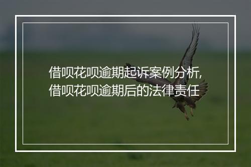 借呗花呗逾期起诉案例分析,借呗花呗逾期后的法律责任