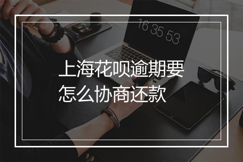 上海花呗逾期要怎么协商还款