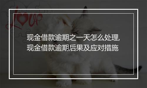 现金借款逾期之一天怎么处理,现金借款逾期后果及应对措施