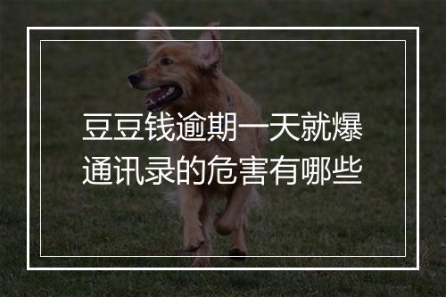 豆豆钱逾期一天就爆通讯录的危害有哪些