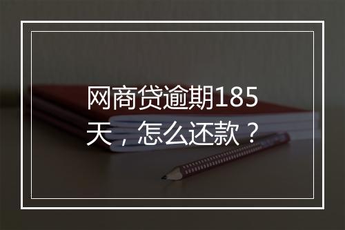 网商贷逾期185天，怎么还款？