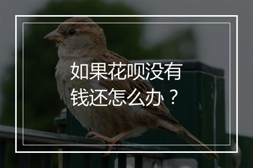 如果花呗没有钱还怎么办？