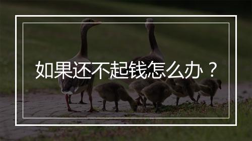 如果还不起钱怎么办？