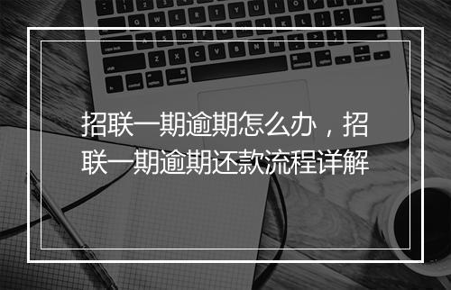 招联一期逾期怎么办，招联一期逾期还款流程详解