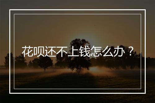 花呗还不上钱怎么办？