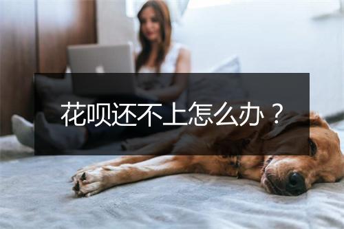 花呗还不上怎么办？