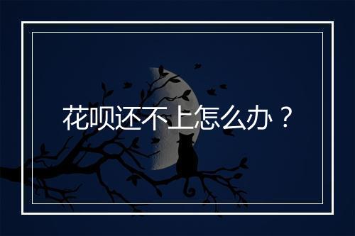 花呗还不上怎么办？