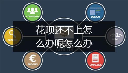 花呗还不上怎么办呢怎么办