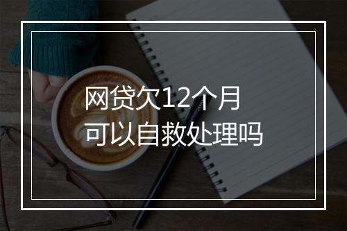 网贷欠12个月可以自救处理吗