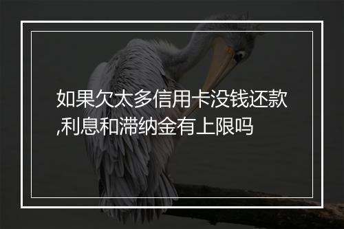 如果欠太多信用卡没钱还款,利息和滞纳金有上限吗