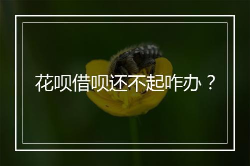花呗借呗还不起咋办？