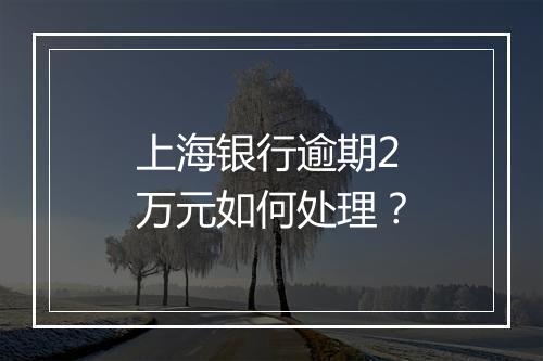 上海银行逾期2万元如何处理？