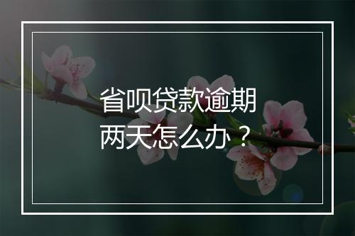 省呗贷款逾期两天怎么办？