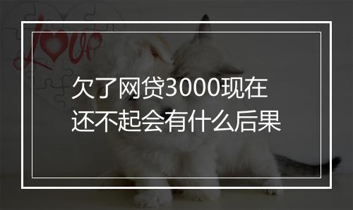 欠了网贷3000现在还不起会有什么后果