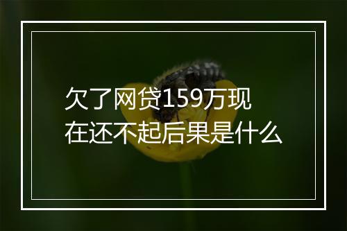 欠了网贷159万现在还不起后果是什么