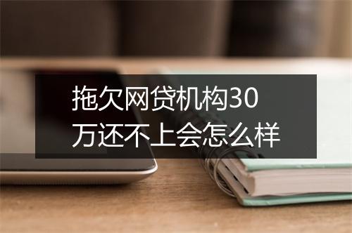 拖欠网贷机构30万还不上会怎么样