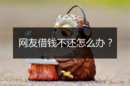 网友借钱不还怎么办？