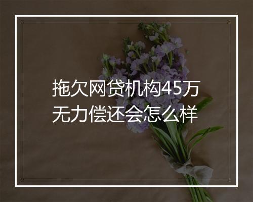 拖欠网贷机构45万无力偿还会怎么样