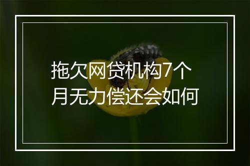 拖欠网贷机构7个月无力偿还会如何