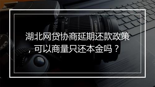 湖北网贷协商延期还款政策，可以商量只还本金吗？