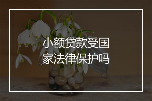 小额贷款受国家法律保护吗