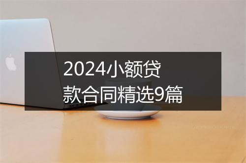 2024小额贷款合同精选9篇