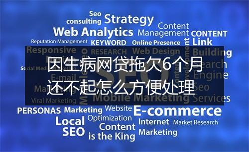 因生病网贷拖欠6个月还不起怎么方便处理
