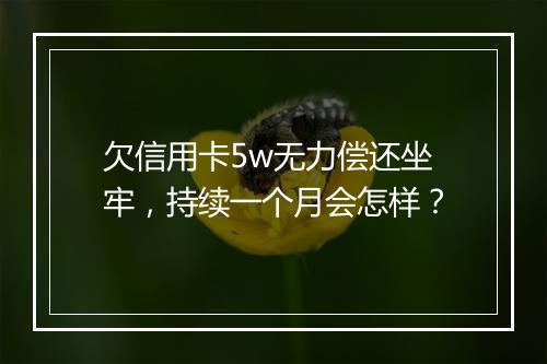 欠信用卡5w无力偿还坐牢，持续一个月会怎样？