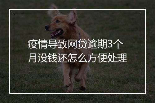 疫情导致网贷逾期3个月没钱还怎么方便处理
