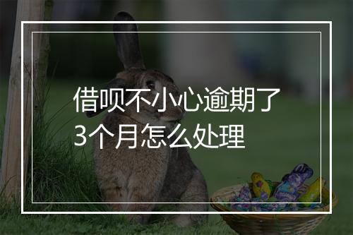 借呗不小心逾期了3个月怎么处理
