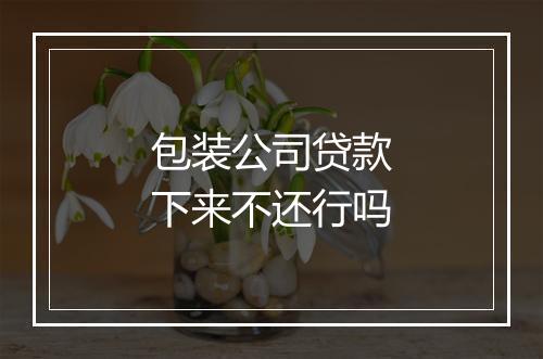 包装公司贷款下来不还行吗
