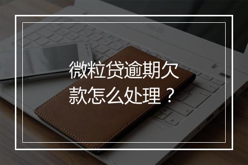 微粒贷逾期欠款怎么处理？