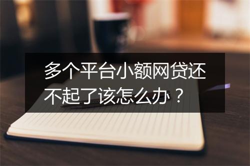 多个平台小额网贷还不起了该怎么办？