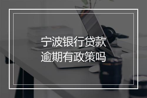 宁波银行贷款逾期有政策吗