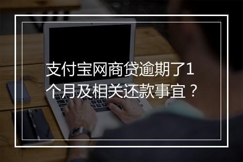 支付宝网商贷逾期了1个月及相关还款事宜？